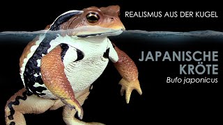 Japanische Kröte  Azuma Toad  Bufo japonicus  realistisches Modell  Gashapon Unboxing amp Review [upl. by Aetnuahs]