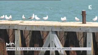 Suivez le guide  lîle de Ré [upl. by Jacklyn]