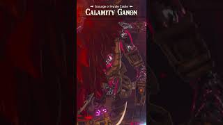 Calamity Ganon is Invincible BreathoftheWild [upl. by Zampardi]