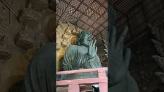 This is a quotMustseequot spot in Nara buddha kansai shorts [upl. by Gnol616]