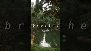 Release negativity Quick anxiety relief meditation camping meditation trees nature travel [upl. by Millwater611]