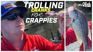 How to Troll Crankbaits for Crappies [upl. by Rehpotsihrc294]