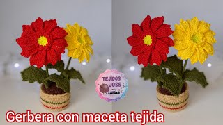 flor gerbera con maceta tejida a crochet [upl. by Izy931]