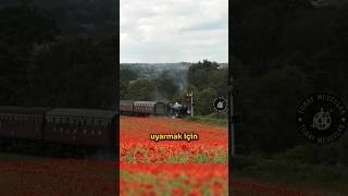 Trenleri Uyarmanın Farklı Bir Yolu 💥 🚂 🤯 [upl. by Moriah769]