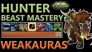 WEAKAURAS  Hunter Beast Mastery  Legion 71 [upl. by Nauqet]