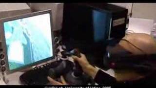 2006 The making of quotFrecce Tricoloriquot Free Flight Simulator [upl. by Nipha]