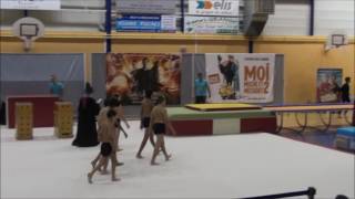 Olympique Riorges Gymastique Gala 2017 Harry Potter [upl. by Joette]