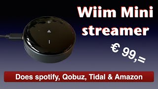 Wiim Mini Streamer [upl. by Annawd]