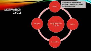 Motivation Cycle  Transition States Of Motivation Cycle [upl. by Olnton]