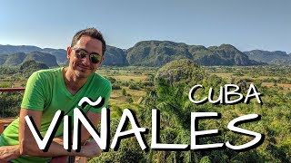 Viñales Cuba desde La Habana en un día – ¿Qué hacer ¿Cómo llegar  La ruta del tabaco en Cuba [upl. by Fennell]