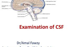 CSF Examination [upl. by Alebasi489]