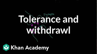 Tolerance and withdrawal  Processing the Environment  MCAT  Khan Academy [upl. by Ardiek]