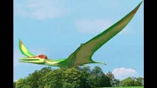 Dino Dan Pterodactyls sound effects [upl. by Dwinnell]