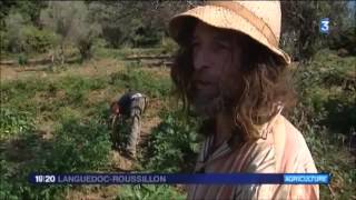 Agronomie Faire pousser des légumes sans eau [upl. by Janot]