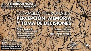 Ensambles neuronales percepción memoria y toma de decisiones [upl. by Aitam]