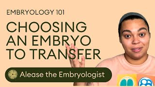 How To Choose Which Embryo To Transfer  Embryologist Explains Embryo Selection In The IVF Lab [upl. by Attolrahc451]