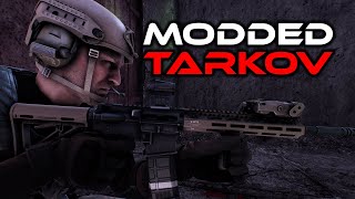 When You Modify The AI In Escape From Tarkov  SPTarkov SAIN Mod [upl. by Bronwen335]