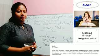 JEROME BRUNERS COGNITIVE LEARNING THEORY  FOR CTET DSSSBKVSWBTET  BY MOUTUSI MAM [upl. by Ataynek832]