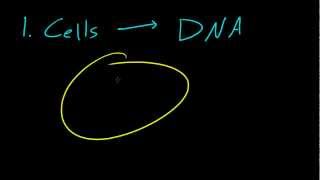 Biology Lecture  1  Introduction to Biology [upl. by Vial755]