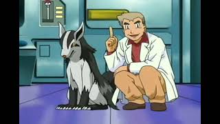 professor oak getting attacked by mightyena [upl. by Stultz]