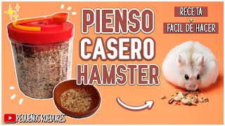 Como HACER ALIMENTO para HAMSTER 🐹 [upl. by Jami115]