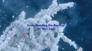 Understanding the Bacteria on Your Eggs [upl. by Hitchcock]