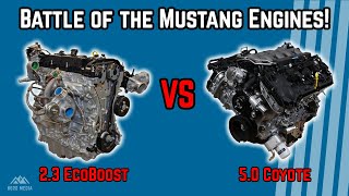 EcoBoost vs 50 Mustang Which One is the Better Buy [upl. by Enihpets464]