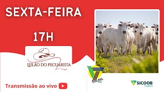 158º LEILÃO DE GADO DE CORTE AO VIVO  LEILAO DO PECUARISTA  Sexta 22032024 A partir das 17h [upl. by Ardnoik]