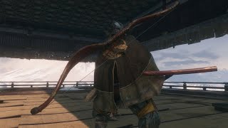 Sekiro Inner Genichiro WORLD RECORD NO HIT SPEEDRUN in 46 seconds with DRIP [upl. by Eatnuahs]