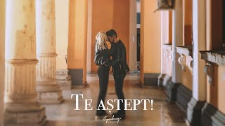 BABASHA ❌ Te aștept  Official Video [upl. by Chelsae425]