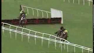 Cheltenham 2014 Triumph Hurdle Preview [upl. by Kast]