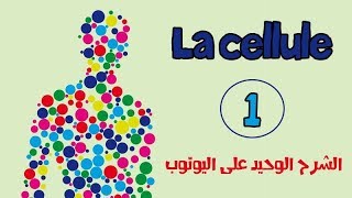 la celluleالخلية le premier épisode de lanatomie [upl. by Rosemare]