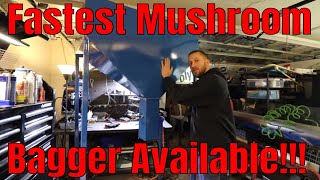 New Fastest Gourmet Mushroom Substrate Bag Filling Machine [upl. by Grethel]