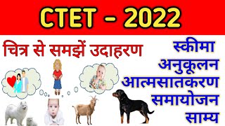 Schema  Anukulan Atmsatkaran Samayojan CTET 2022 Piaget पियाजे स्कीमा अनुकूलन समायोजन आत्मसात्करण [upl. by Errol303]