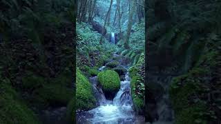 Relaxing Rain Noise  Forest Stream  10Hour Version on Our Channel [upl. by Llenrod66]