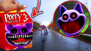 Do Not Order CATNAP HAPPY MEAL From MCDONALDS POPPY PLAYTIME CHAPTER 3 SECRETS [upl. by Snehpets]