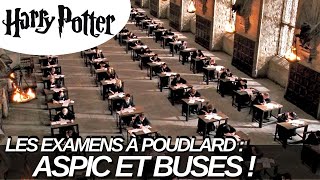 LES EXAMENS A POUDLARD  LE TEMPS DE LA SOUFFRANCE  BAC2021 BREVET2021 [upl. by Yrrat]