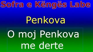 Grupi i Penkovës  O moj Penkova me derte  Sofra e Këngës Labe [upl. by Girvin]