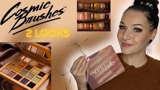 Die neue COSMIC BRUSHES 🤎 NUDETRALS Palette I Tutorial I deutsche Review I Monolith [upl. by Jasun]