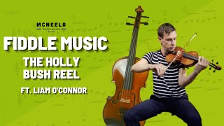 The Holly Bush Reel on Irish Fiddle ft Liam OConnor  McNeela Instruments [upl. by Elie890]