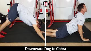 Downward Dog to Cobra active warmup [upl. by Ynaoj]