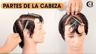 Como dividir el cabello  Partes de la Cabeza Cráneo ★ Peluquería Corte y Estilo [upl. by Notgnirrab278]