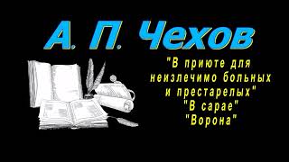 А П Чехов quotВ приюте для неизлечимо больных и престарелыхquot quotВ сараеquot quotВоронаquot рассказы аудиокнига [upl. by Juliane]