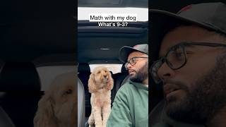 Mini Cockapoo Thinks Before Getting Each Math Question Right 😳 [upl. by Forrester]