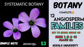 BOTANYSYSTEMATIC BOTANYANGIOSPERM FAMILIEScompleteS3QUESTIONS FOR ESSAYSURE QമലയാളംKU [upl. by Mcevoy341]