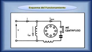 Motor monofasico con arranque por capacitor [upl. by Neik782]