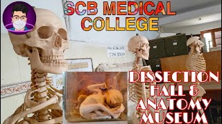 DISSECTION HALL amp ANATOMY MUSEUM  SCB MEDICAL COLLEGE CUTTACK  ODISHA [upl. by Matilde]