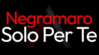 Negramaro  Solo Per Te ARK Karaoke [upl. by Illil]