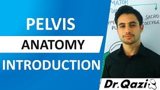 Pelvis  Anatomy  Introduction [upl. by Niriam544]