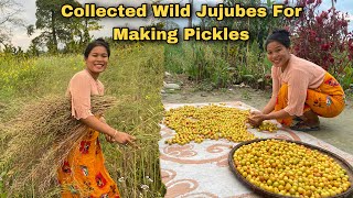 Collected Wild Jujubes for Making Homemade Pickles  Cultivating Mustards Seeds  Village Life [upl. by Otto243]